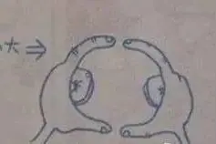 一条微信告诉你上海究竟有多大！图片