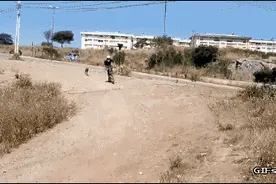 骑行中被狗追怎么办呢？教你四招！图片