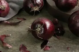 示范给你看，怎样保存洋葱，可以保存数月视频封面