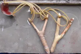 你现在或许还可以当回忆去玩，却再也回不到那种单纯的欢乐时光图片