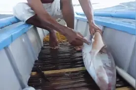 国外男子深海手钓鱿鱼，这活真得好臂力，大鱿鱼看着很过瘾！图片