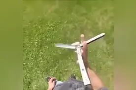 蝴蝶刀是这么玩的图片