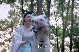 范冰冰骑马不用替身，确实很厉害！视频封面