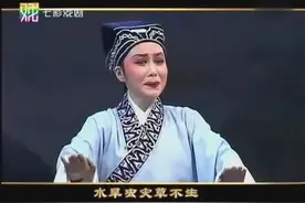 越剧 珍珠塔选段 前见姑 （魏春芳、张琳演唱）图片