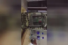 实拍活蛇泡酒挣扎视频封面