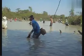 鱼多的时候，我们都是这样抓鱼的！图片