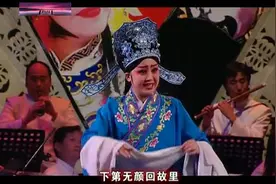 豫剧 必正与妙常选段 崔菊萍演唱图片