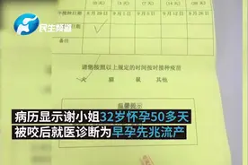 32岁孕妇遭狗咬伤或流产，狗主人赔钱视频封面