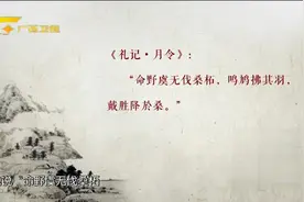 茶叶在我国历史上的重要性，用它换取的外汇曾富裕了我们整个国家