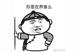 为什么说南方人都有心眼，北方人都大气豪迈？图片