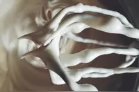 亨通烘焙课堂：绵绵小云朵蒸糕图片