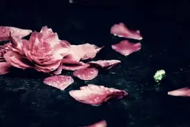 我离幸福还有一公里的距离图片