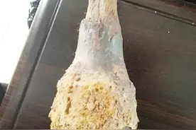 一桥附近沙滩有人捡到手榴弹 弹体生锈/还是有爆炸可能图片