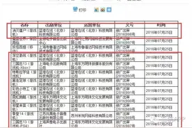 国行新丁｜《三国志13》《拳皇14》等游戏过审图片