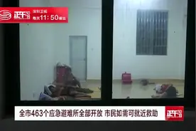 全市463个应急避难所全部开放 市民如需可就近救助视频封面