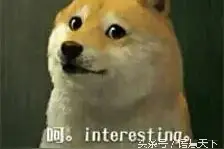 七夕到了，你为什么被叫“单身狗”而不是其他动物图片