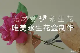 七夕秀恩爱指导手册 十分钟解锁创意表白术图片