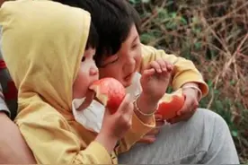 php自学零基础入门小知识图片