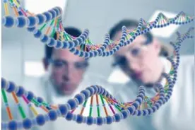 布莱德·库伯第四代试管，HRC怀孕率全美第一图片