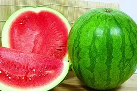 在哈尔滨买到这种皮薄得跟纸一样的西瓜。。。｜这是不是转基因的？图片