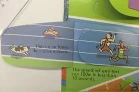 手把手带你看“运动”翻翻书，奥运英语全知道（田径篇）图片