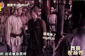 莽哥配音秀||回顾经典！李老幺弹棉花，弹弹弹！弹走鱼尾纹图片