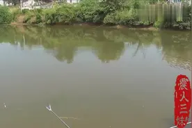 钓鱼：葡萄钓草鱼，到20秒就中鱼了，效果真好！