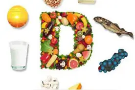 维生素D与铁循环图片