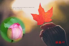 七夕情人节，那一场风花雪夜的事。图片