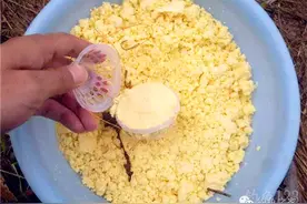 钓技 | 你的爆炸钩饵使用到位了吗？图片