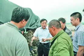 生态做笔绘美景日新月异建山城 大兴安岭塔河县加快转型发展纪实图片