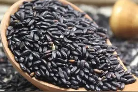 黑芝麻千万别与这些同吃图片