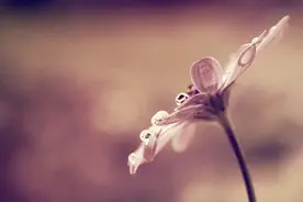 相爱十年，爱还能继续吗图片