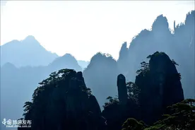 “七夕”中外情侣浪漫游黄山 让美景与爱情相遇图片