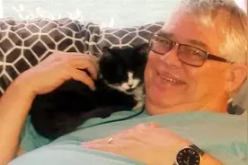 这只先天畸形的喵星人，一样可以幸福的成长！图片