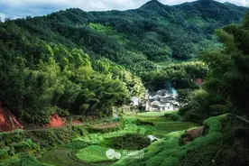 清新灵山：竹林深处有人家图片