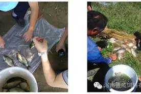 目前河南省水产养殖发展现状的几点思考图片