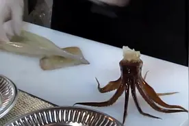 日本生鱿鱼片的制作，鱿鱼都杀了竟然还能站起来！图片