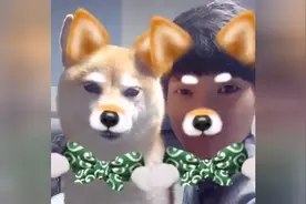 主人和狗狗之间的搞笑玩法，好有爱啊！图片