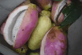 这种野果在四川农村很常见，城里人却把它当成宝，花钱都吃不到！视频封面
