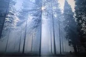 《不要叫醒我好吗》／王芳图片