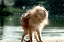 哈尔滨周边最全的水上世界神总结！图片