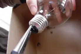 旧灯泡变萌物 在家中DIY迷你绿洲图片