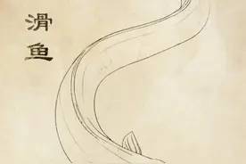 山海经|神兽的前世今生（八）图片