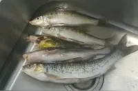 美味红烧鱼图片
