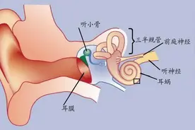 专家解说与眩晕有关的前庭功能检查图片