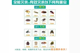 杀虫气雾剂的成分表图片