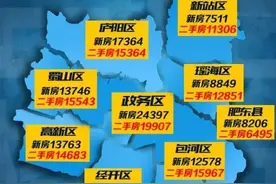 8月合肥二手房5区破1.5万元/㎡！还在涨！加钱也要买新房！图片