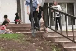 让你随地扔香蕉皮图片