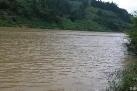 震惊！混水钓大鲤鱼图片